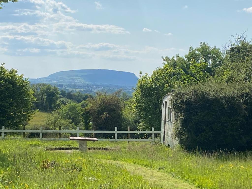 Clover Cottage Sligo Bagian luar foto