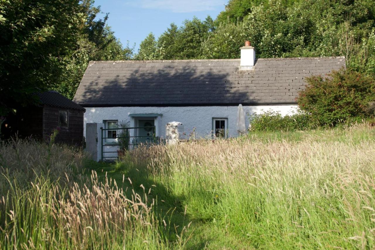 Clover Cottage Sligo Bagian luar foto