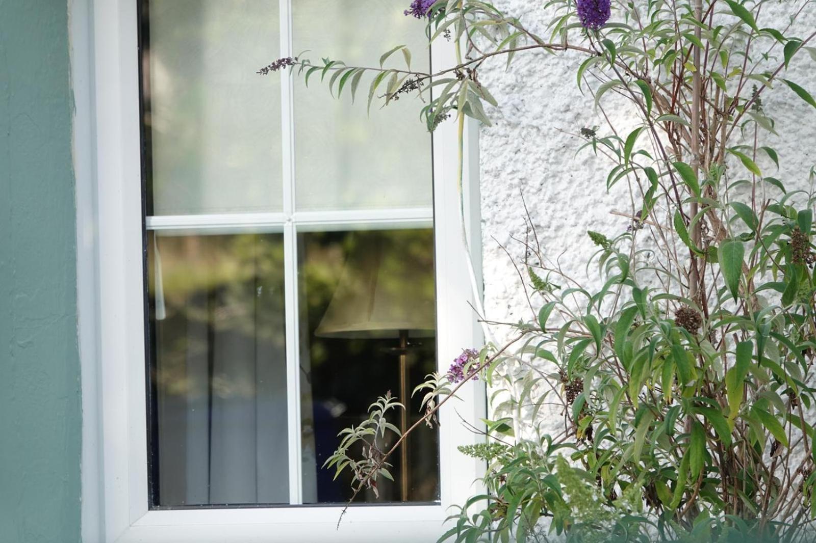 Clover Cottage Sligo Bagian luar foto